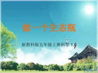 做一个生态瓶PPT五上