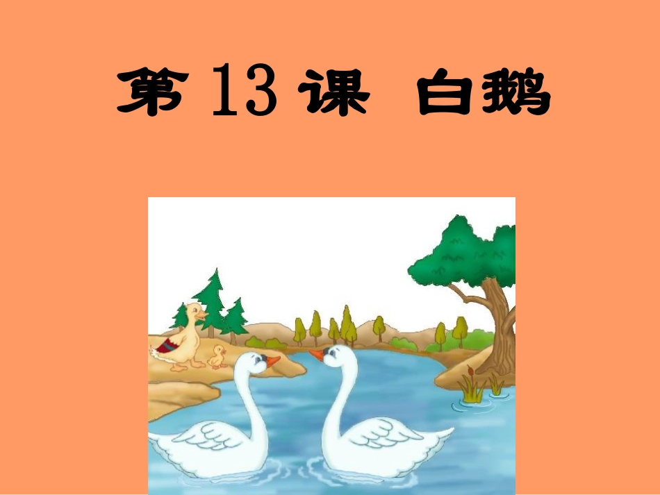 四年级上语文课件-白鹅-人教版_第1页