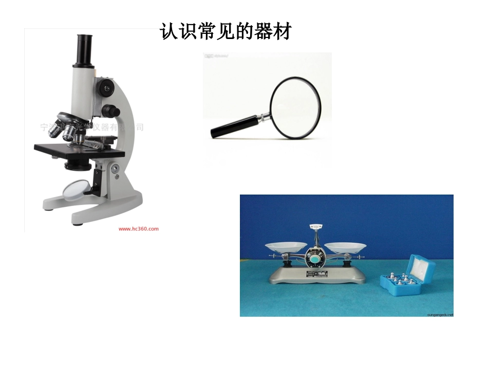 走进科学实验室_第3页