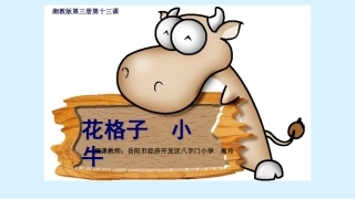 花格子小牛9