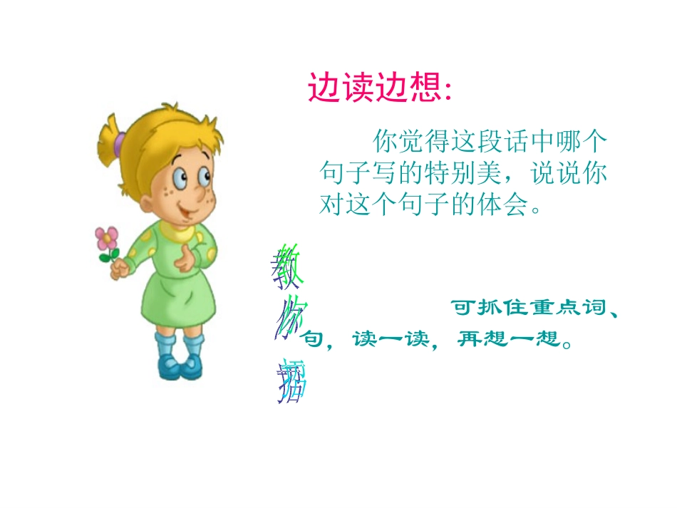荷花优秀课件_第1页