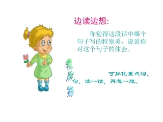 荷花优秀课件