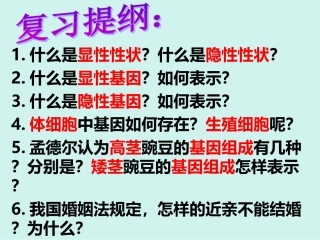 第二章生物的遗传和变异第四节人的性别遗传27