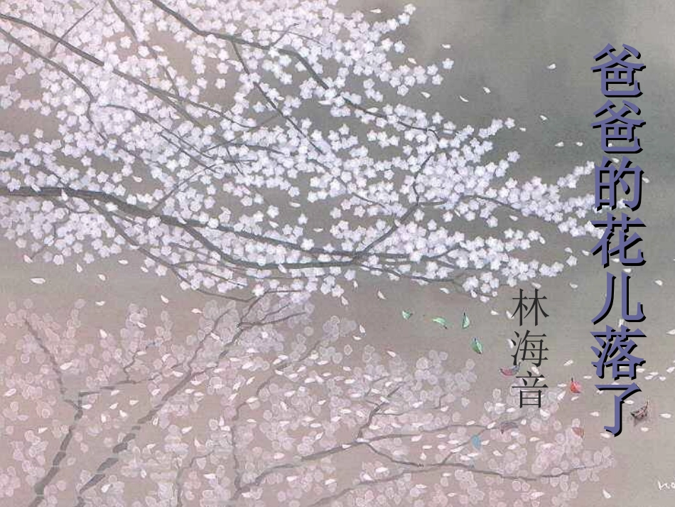 爸爸的花儿落了 (4)_第1页