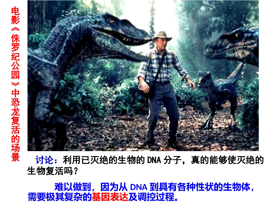 基因指导蛋白质的合成_第2页