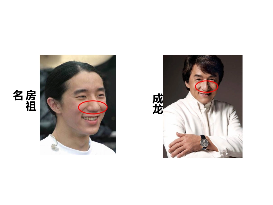 基因指导蛋白质的合成_第3页