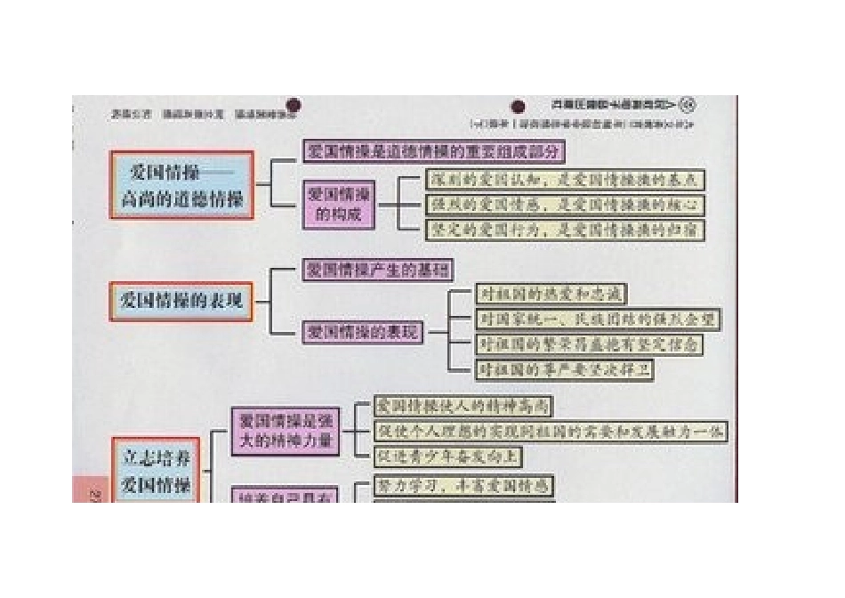 思维导图 (9)_第1页
