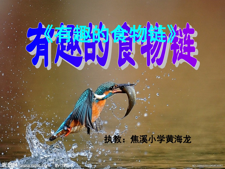 《有趣的食物链》课件_第1页
