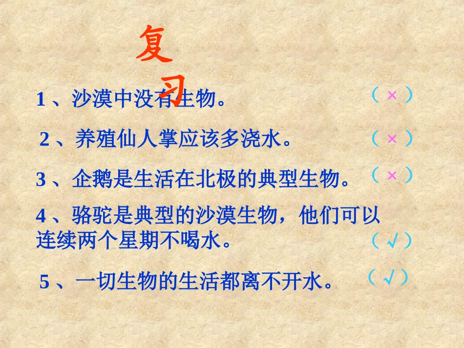 《有趣的食物链》课件_第2页