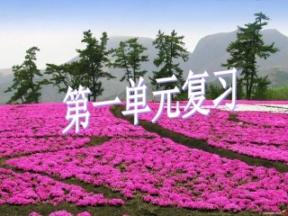 八下第一章复习