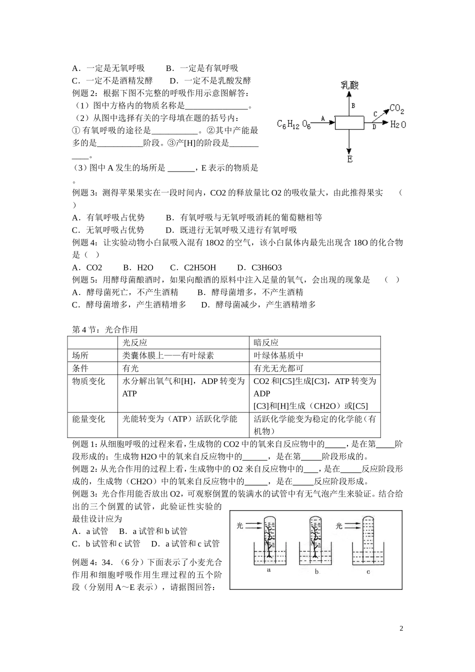 高中生物知识必修一复习提纲（第五章）_第2页