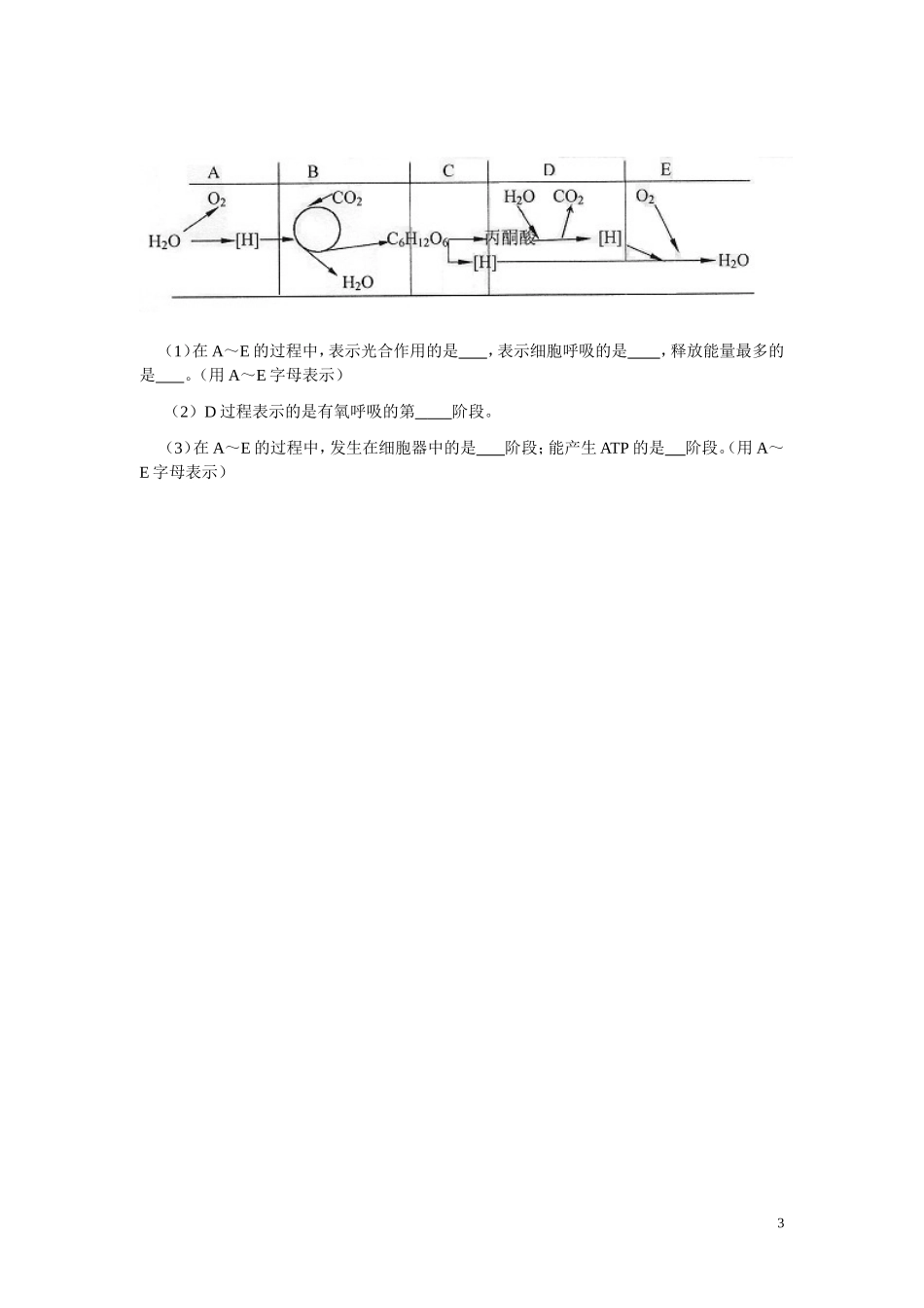 高中生物知识必修一复习提纲（第五章）_第3页