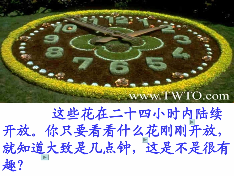 《花钟》课件_第2页