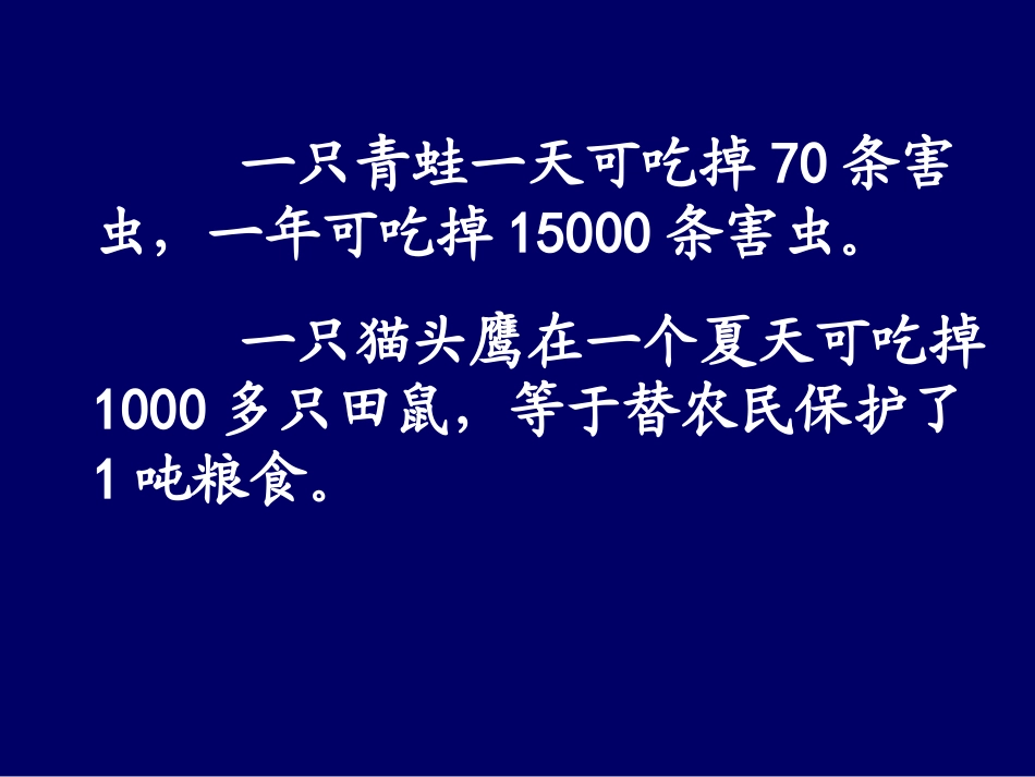 保护有益小动物课件_第2页