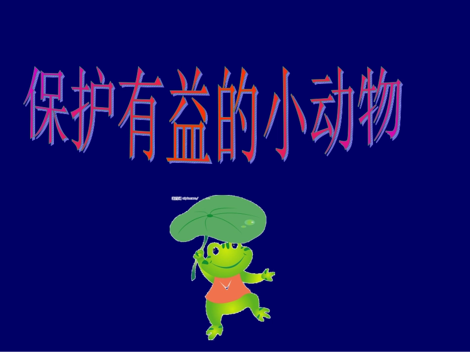 保护有益小动物课件_第3页