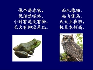 保护有益小动物课件