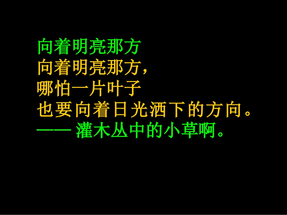 与最美妙的词语共舞_第3页