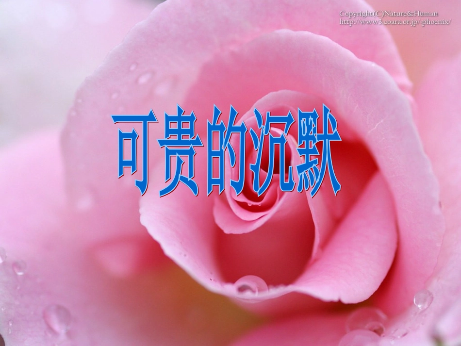 《可贵的沉默》 (2)_第1页