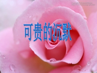 《可贵的沉默》 (2)