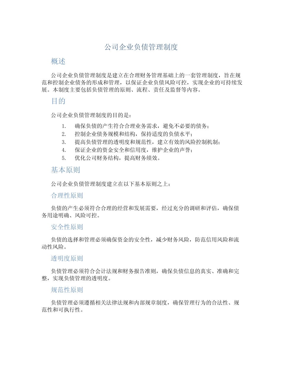 公司企业负债管理制度_第1页