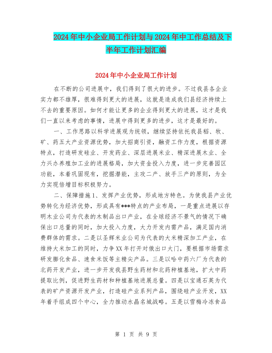 2024年中小企业局工作计划与2024年中工作总结及下半年工作计划汇编_第1页
