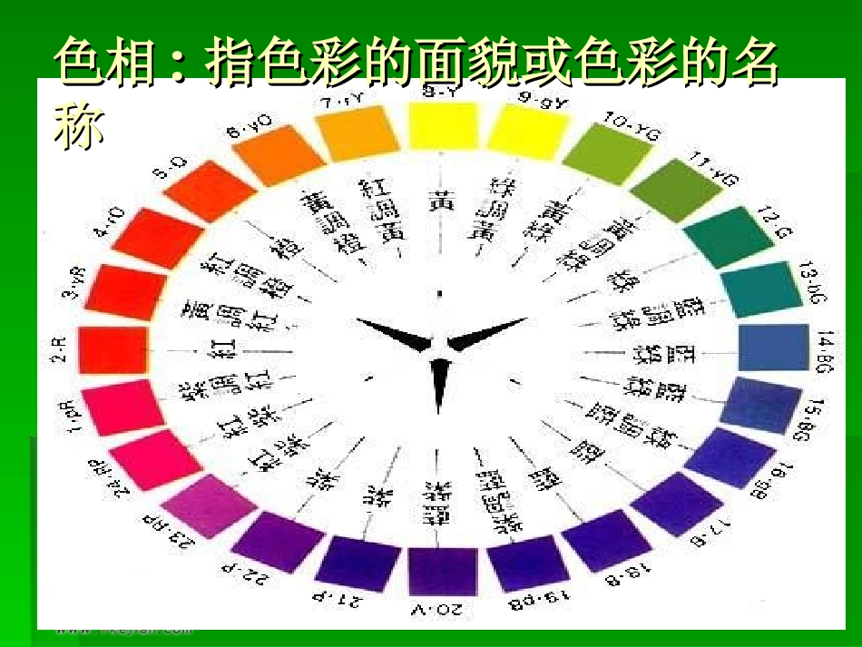 艳丽的大公鸡 (2)_第2页