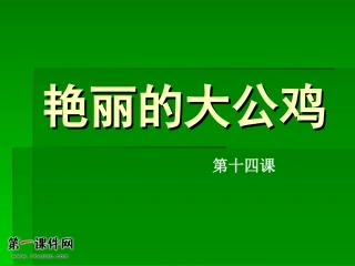 艳丽的大公鸡 (2)