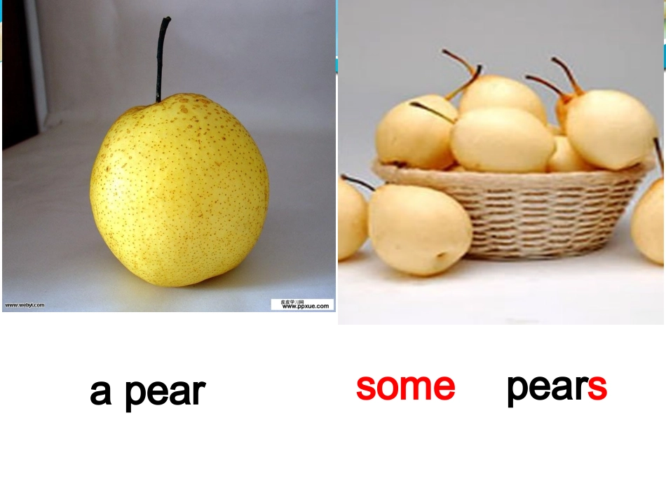 广州版小学三年级英语下册Unit8_Apples_are_good_for_us_-_副本_第2页