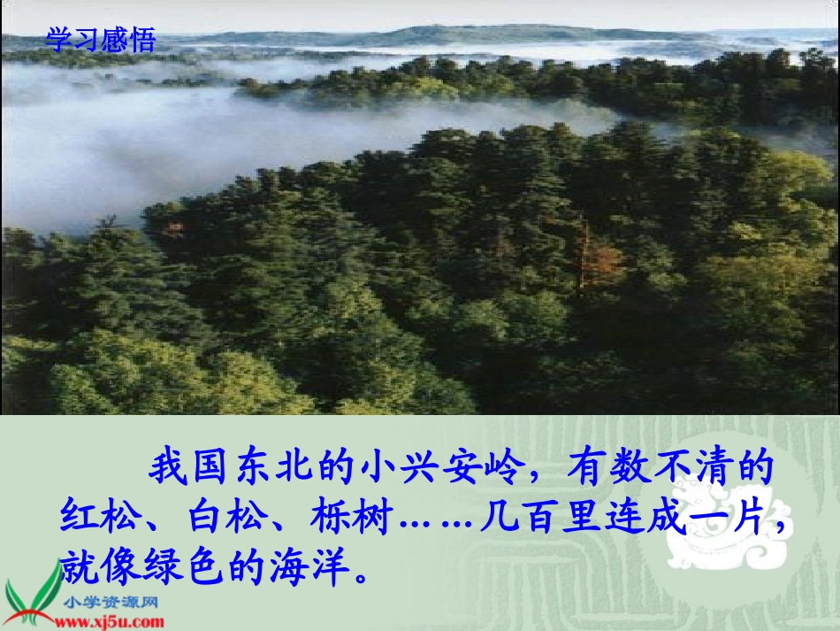 人教版三年级上册23《美丽的小兴安岭》PPT课件-梁润兴_第2页