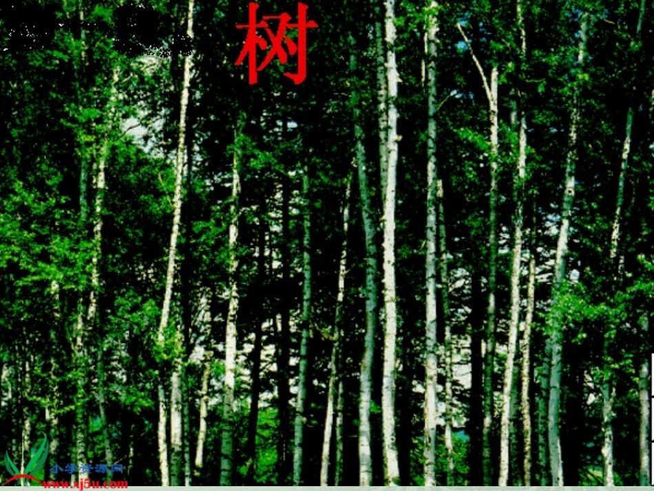 人教版三年级上册23《美丽的小兴安岭》PPT课件-梁润兴_第3页