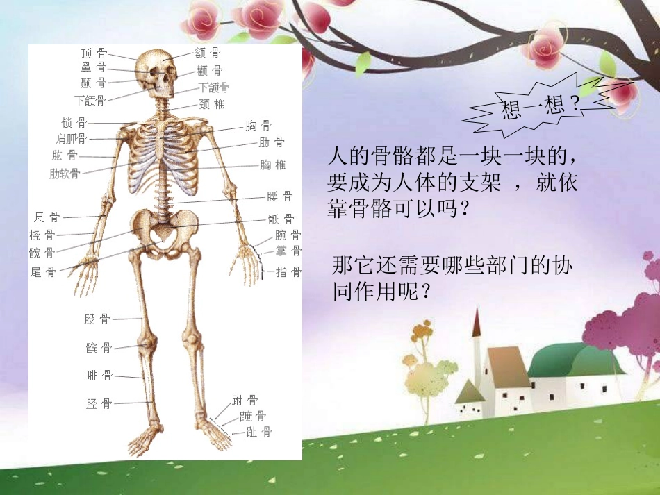 人教版体育与健康《人体与运动》课件_第2页