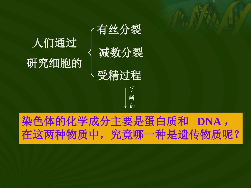 遗传的物质基础一DNA是主要的遗传物质_第2页