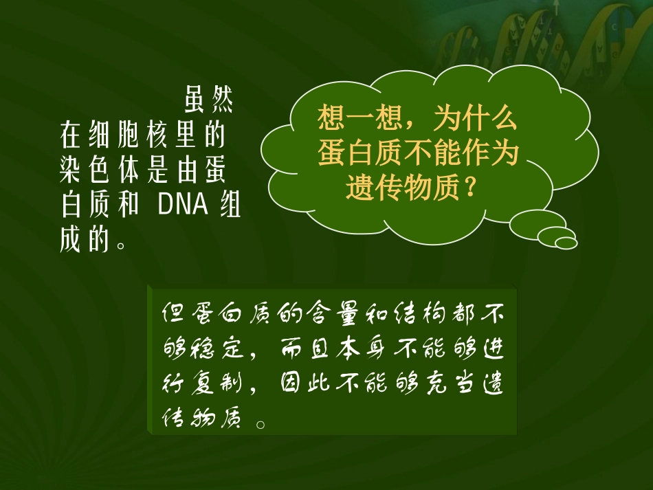 遗传的物质基础一DNA是主要的遗传物质_第3页