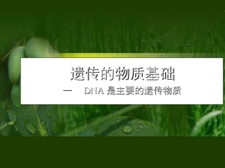 遗传的物质基础一DNA是主要的遗传物质