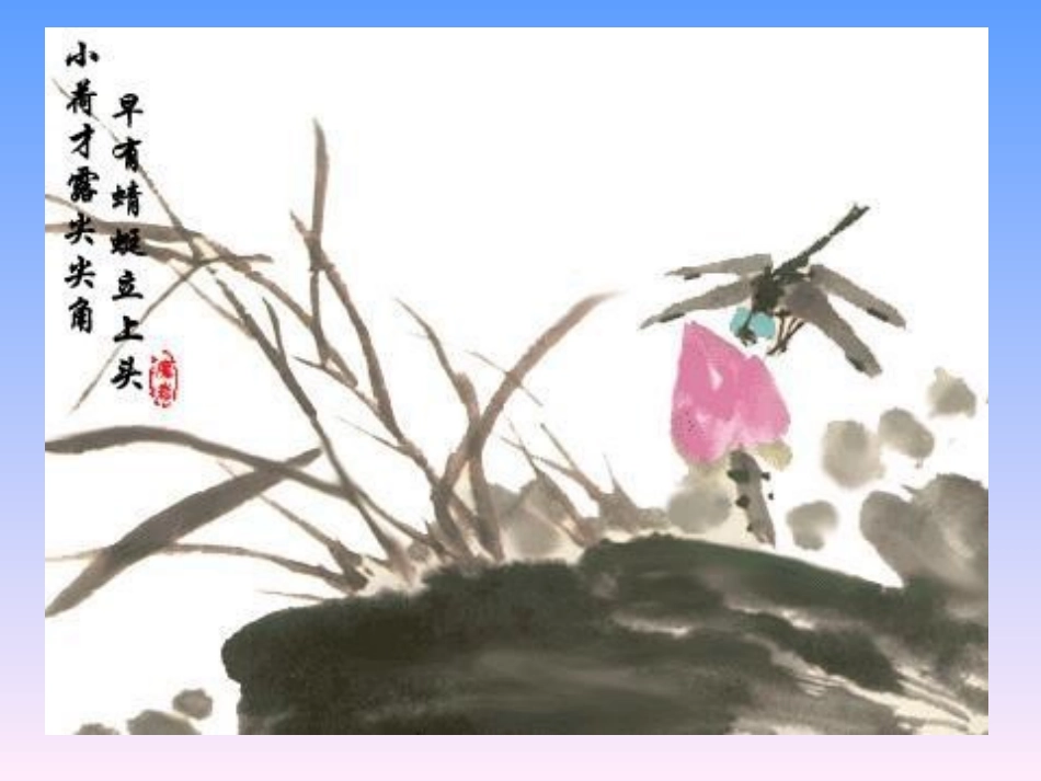 荷叶圆圆课件_第1页