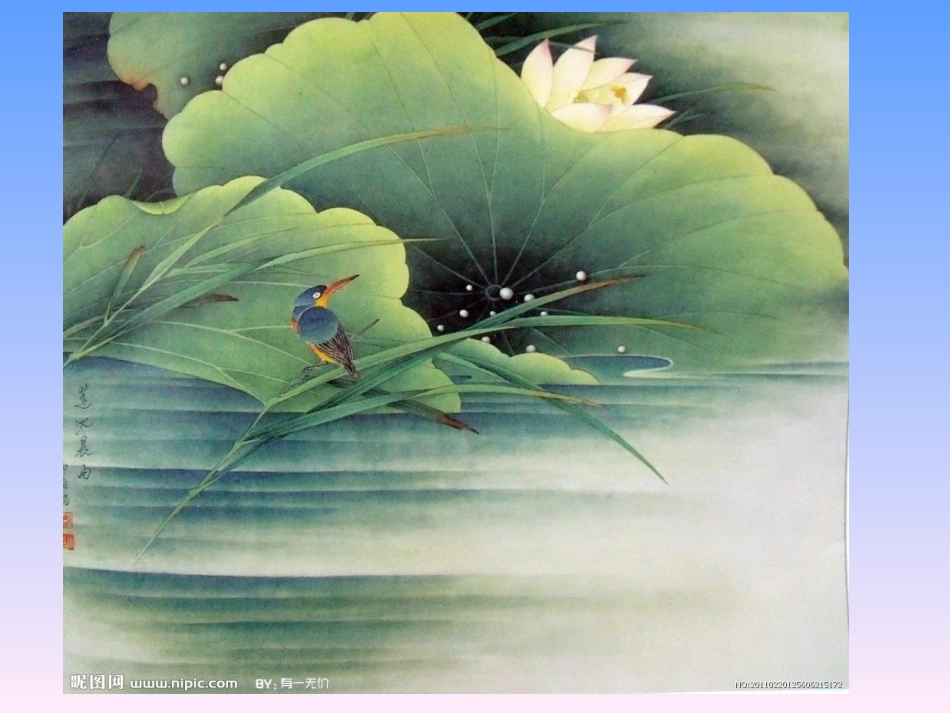 荷叶圆圆课件_第2页