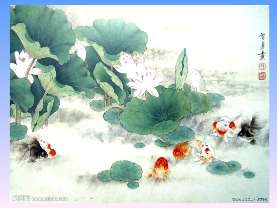 荷叶圆圆课件_第3页