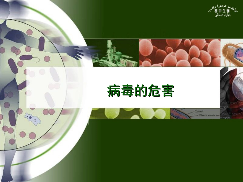 第二单元第四章没有细胞结构的微小生物――病毒_第1页