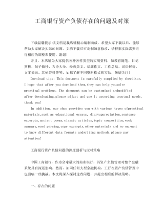 工商银行资产负债存在的问题及对策