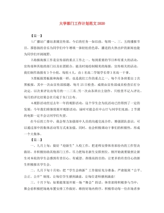 大学部门工作计划范文2022 