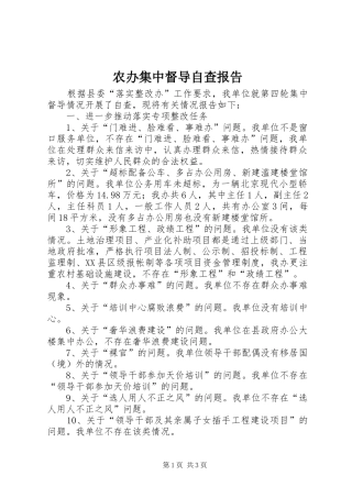 农办集中督导自查报告