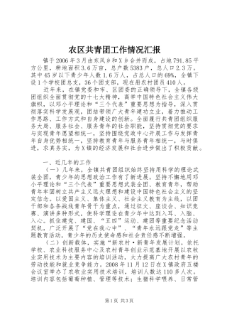 农区共青团工作情况汇报