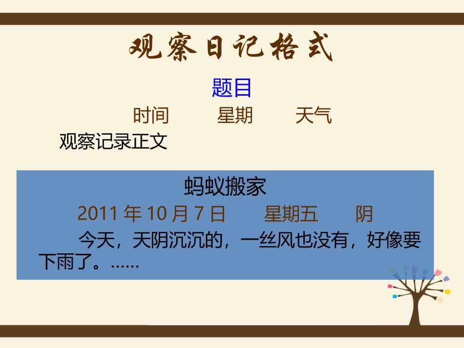 观察日记格式要求_第3页