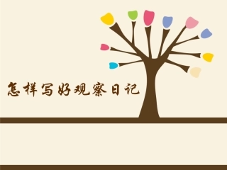 观察日记格式要求