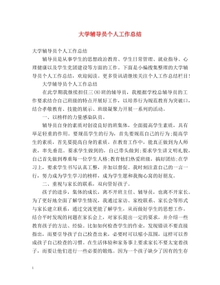 大学辅导员个人工作总结 