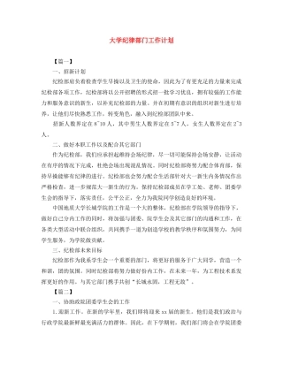 大学纪律部门工作计划 