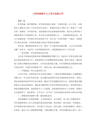 大学纪检部个人工作计划怎么写 