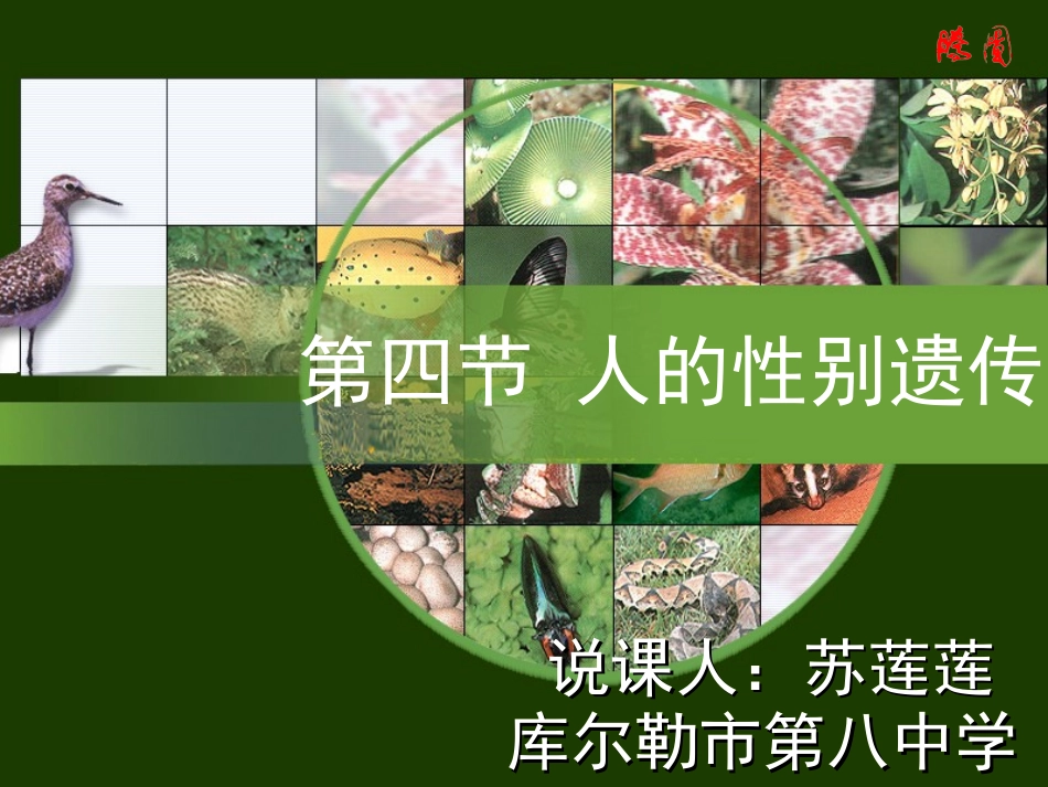 八中苏莲莲人的性别遗传_第1页