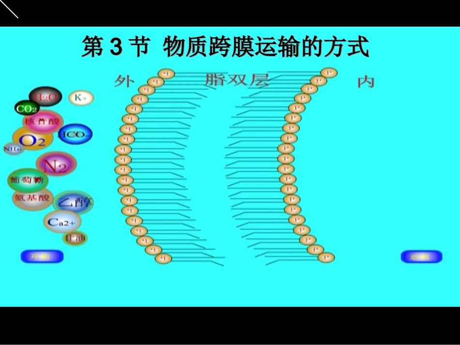 物质跨膜运输的方式 (2)_第1页