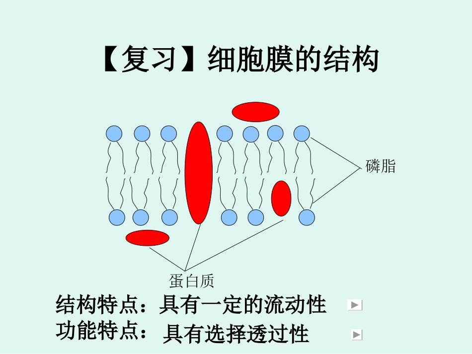 物质跨膜运输的方式 (2)_第2页